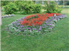 Flower bed in Riverview Park