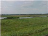 Wetland Area