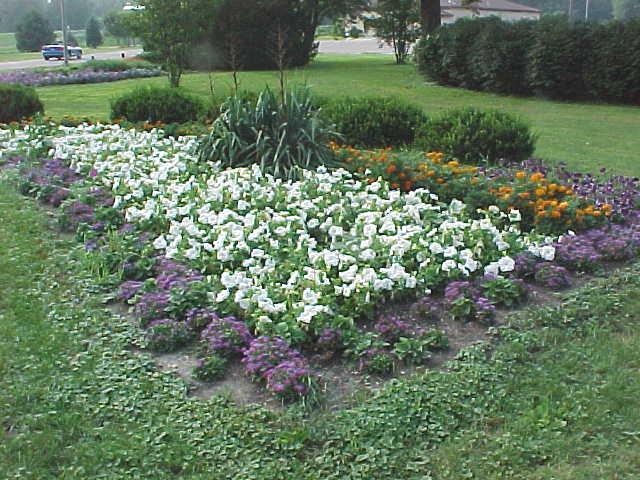 Full flower bed in Riverview Park