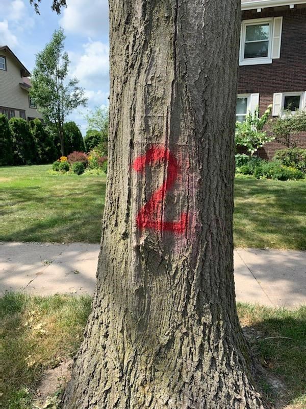 Hazardous Limb Marking