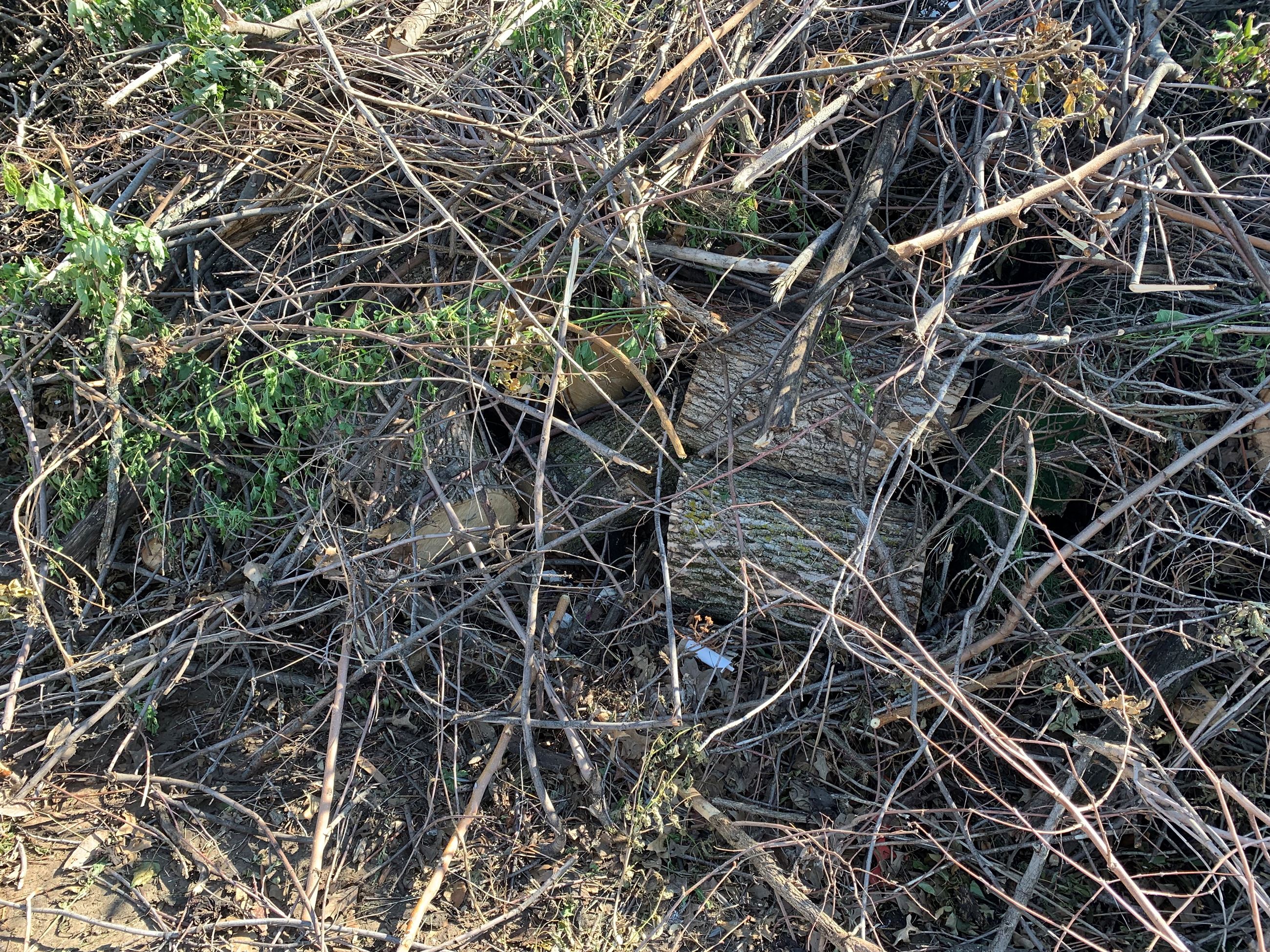 Compost Facility Pic 1