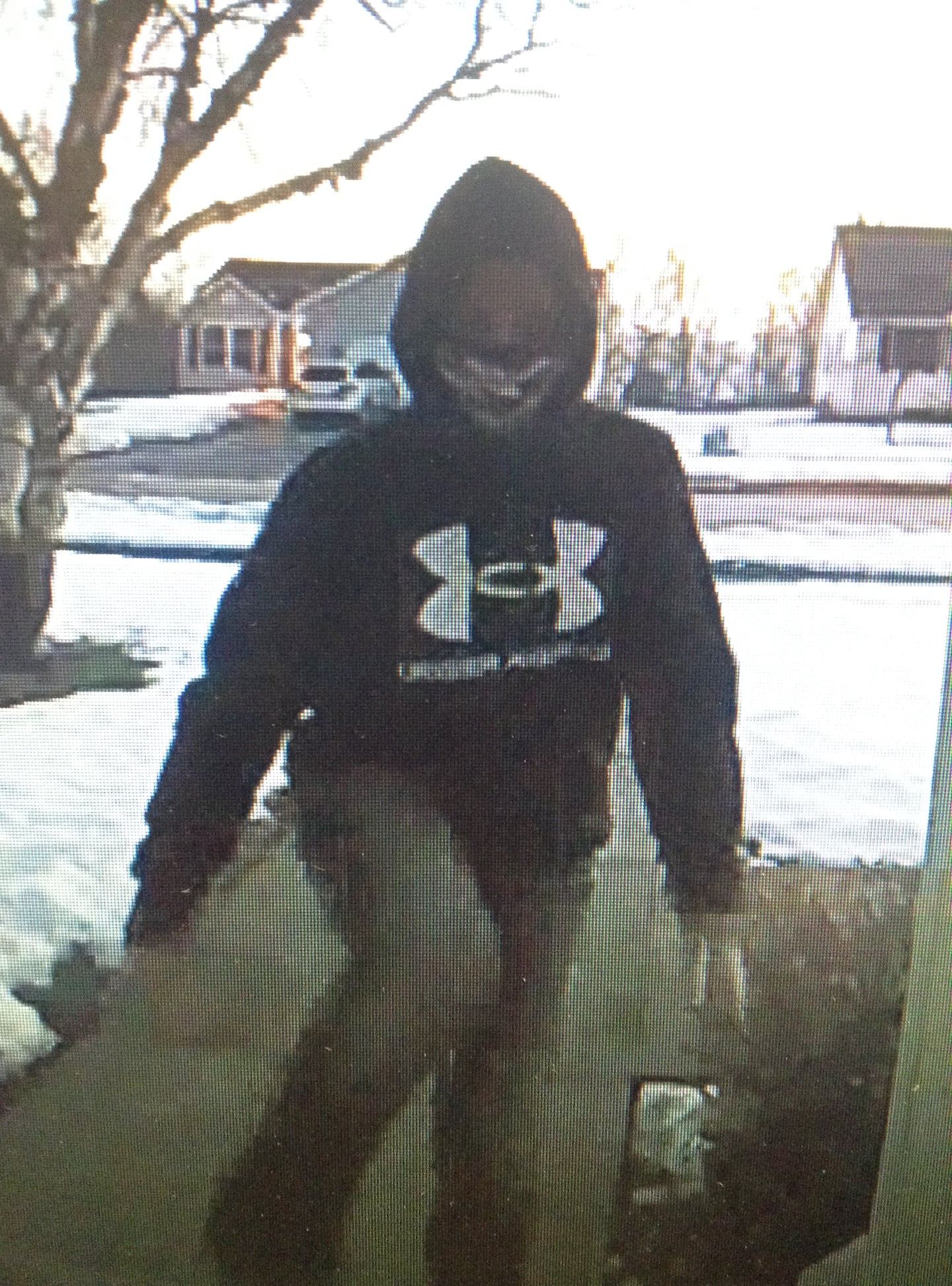 Porch Pirate 3