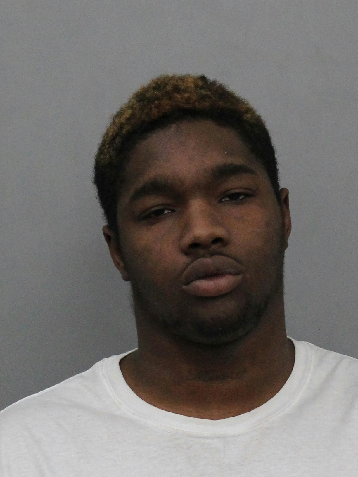 LAURIE DOMINICK FRANCIS