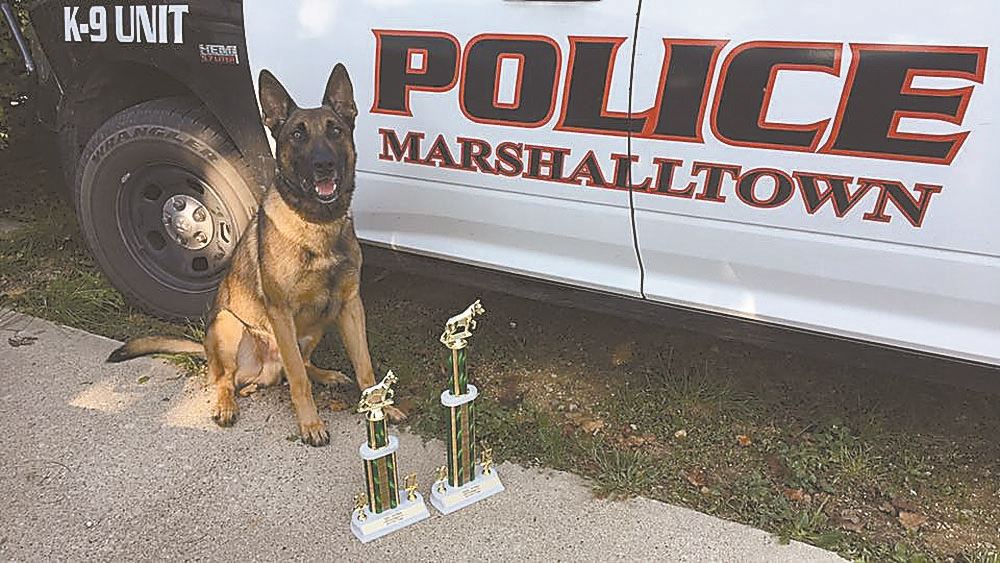 Raji Police Dog Photo